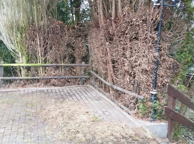 Lejlighed Landhaus/holzhaus Bad Wünnenberg